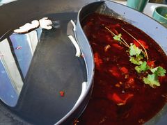 红汤梭边鱼锅-新辣道鱼火锅(西直门店)