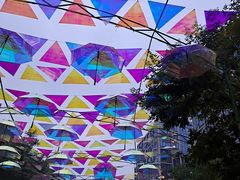 -山东政协大厦维景大酒店