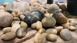 -Oasis Beauty水磨坊科技美肤中心