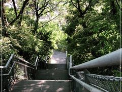 -佛山华盖山公园