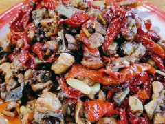 -柴窝堡22号辣子鸡·传承新疆菜