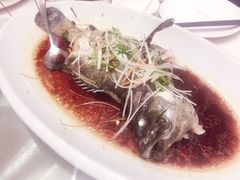 -頂好酒家·经典粤菜(海信广场店)