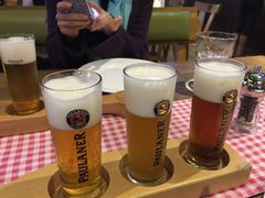 -Paulaner·德国帕拉娜自酿啤酒餐厅(海上世界店)