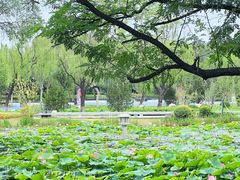 -咸阳湖景区-统一广场