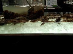 -Ministry of Crab(科伦坡店)