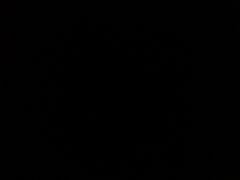 -红荔村肠粉(岗厦店)