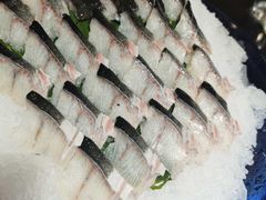 鳗鱼-海鲨湾海鲜会馆(新街口店)