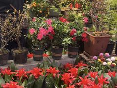 -香炉礁家具市场