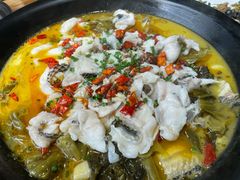酸菜鱼-秋渔土菜馆(丰盛九玺店)