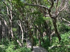 -白草畔自然风景区