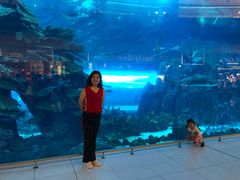 -迪拜水族馆及水下动物园