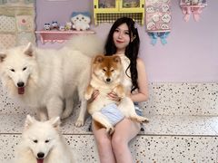 -毛绒耶耶撸宠馆·猫咖·狗咖·荷兰猪咖