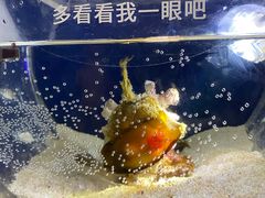 -欢乐海岸海洋奇梦馆