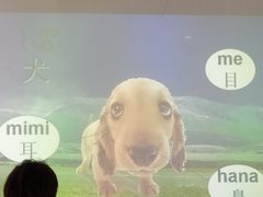 -华兴日语学校(总校)