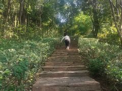 -天目湖涵田度假村