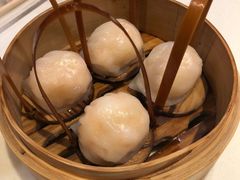 招牌虾饺皇-金鼎轩(亚运村店)