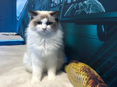 -零纪元VR体验馆·桌游(黄浦店)