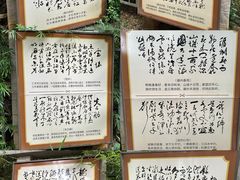 -神光山国家森林公园