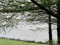 -苏州湾体育公园