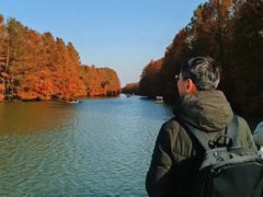 -上海海湾国家森林公园