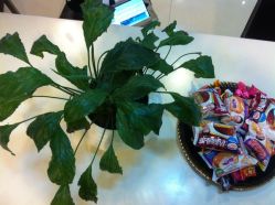 未命名1-DRG达人馆造型