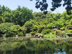 -杭州植物园