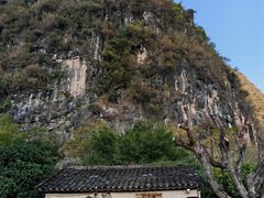 -村上春树