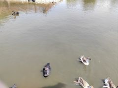 -无锡动物园·太湖欢乐园