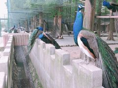 -南京金牛湖风景区