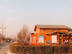 -东郊湿地公园