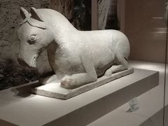 -宁夏博物馆