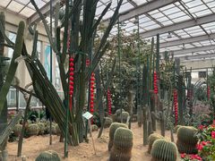 -石家庄市植物园