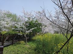 -自然谷恐龙园