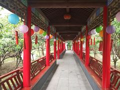 -南汇桃花村