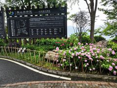 -太阳湾风景区