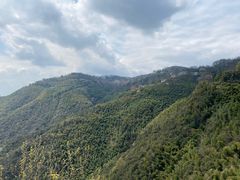 -莫干山风景区