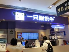 -一只酸奶牛(时代天街A馆店)