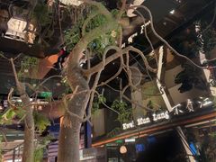 -桂满陇·海市蜃楼·黑金(国金店)