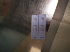 -申普宠物医院·眼科·心内科·影像科(普陀分院)