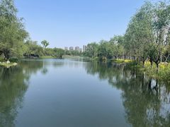 -洋湖国家湿地公园