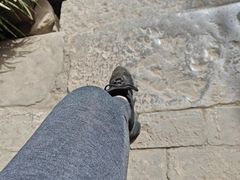 -蒲锦源烩饼(蒲城店)