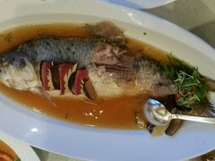 android_upload_pic-上海和平饭店龙凤厅 Dragon Phoenix