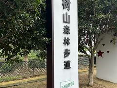 -树山生态村