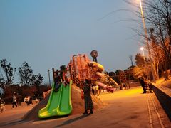 -枫香湖儿童公园