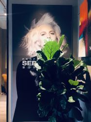 -塞巴斯汀SEBASTIAN专业美发店