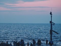 -南汇嘴观海公园