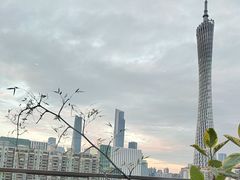-小茶闲舍·观景商务茶馆(广州塔店)
