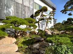 -罗红摄影艺术馆