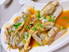 蛏子-华盛丰温州大排档(东三环南路店)