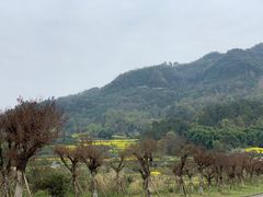 -樱桃山旅游景区